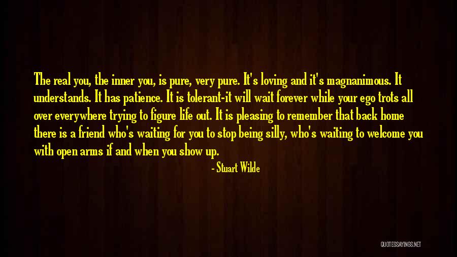 Stuart Wilde Quotes 1606559