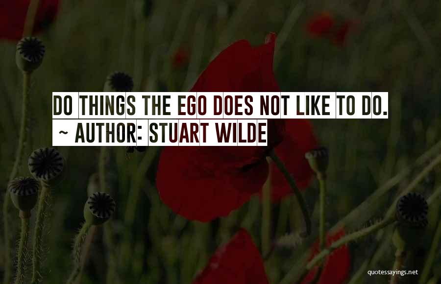 Stuart Wilde Quotes 566158