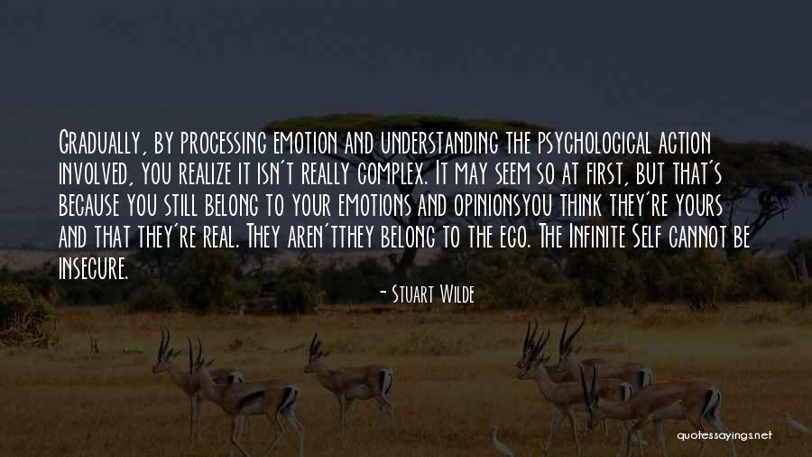 Stuart Wilde Quotes 954088