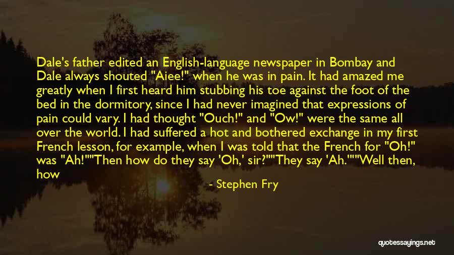 Stubbing Your Toe Quotes By Stephen Fry