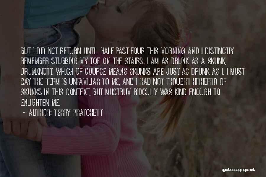 Stubbing Your Toe Quotes By Terry Pratchett