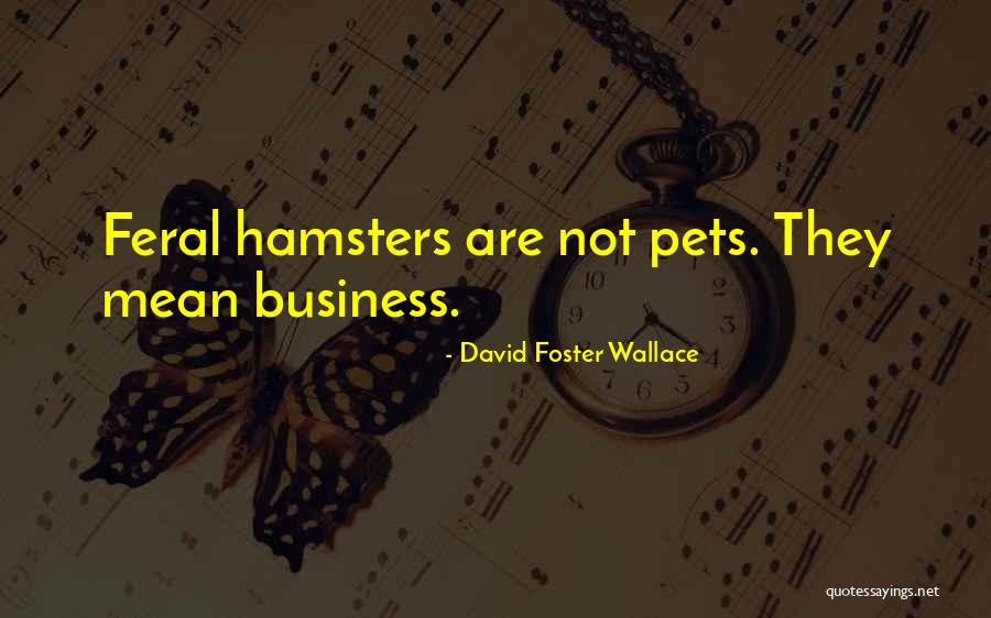 Stubbings Banjo Quotes By David Foster Wallace Stubbings Banjo Quotes By David Foster Wallace