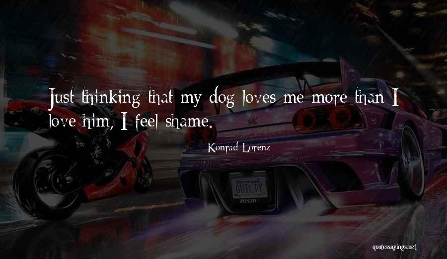 Stubbins Real Estate Quotes By Konrad Lorenz Stubbins Real Estate Quotes By Konrad Lorenz