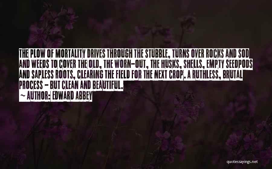 Stubble Quotes By Edward Abbey