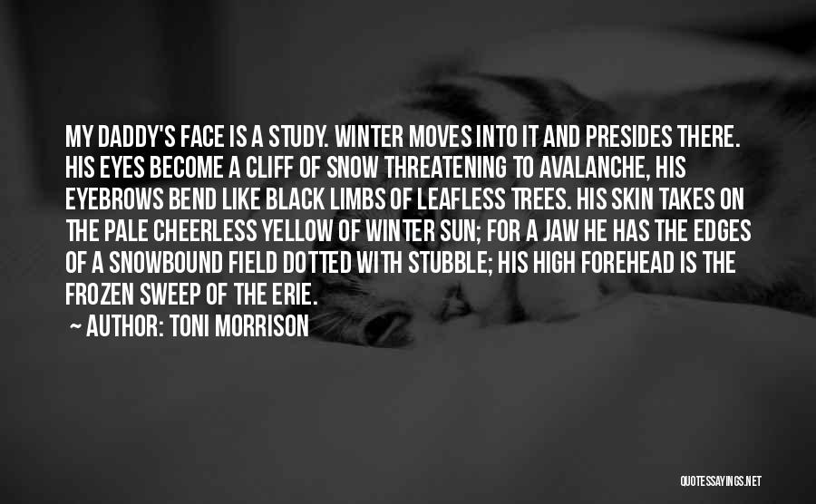 Stubble Quotes By Toni Morrison