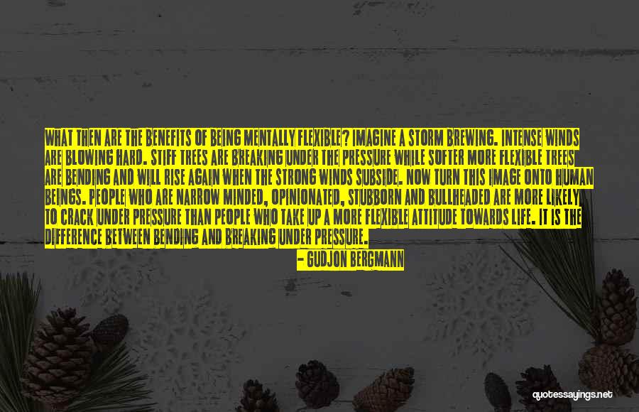 Stubborn And Strong Quotes By Gudjon Bergmann Stubborn And Strong Quotes By Gudjon Bergmann