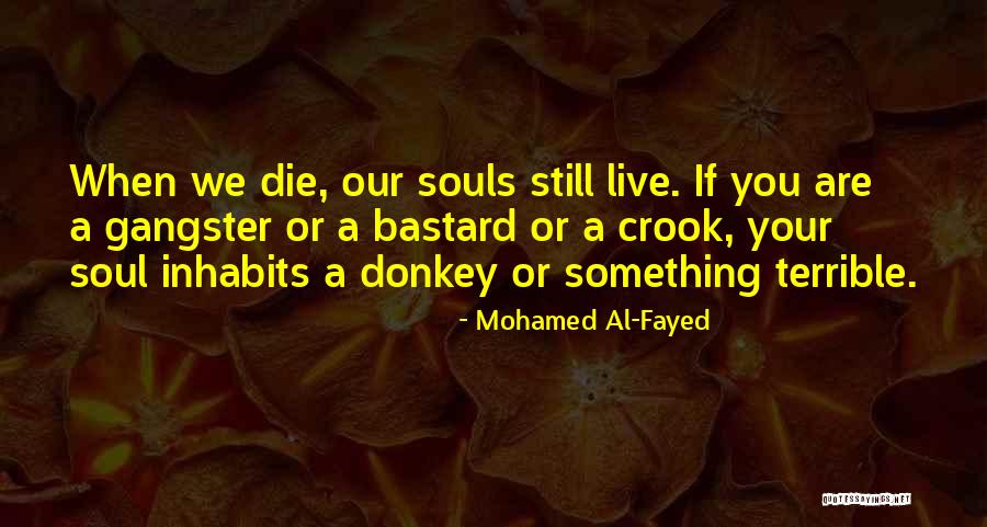 Stuchlik Associates Quotes By Mohamed Al-Fayed Stuchlik Associates Quotes By Mohamed Al-Fayed