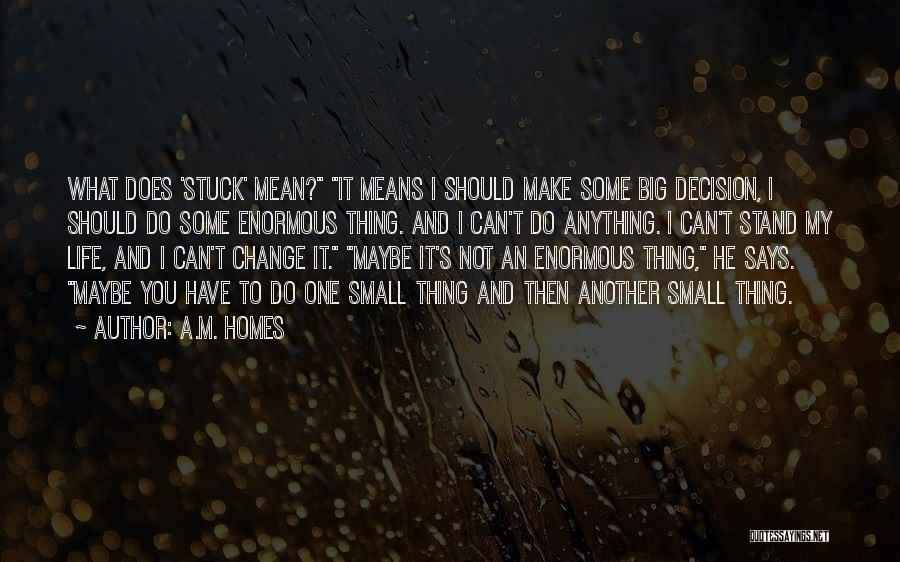 Stuck In A Rut Quotes By A.M. Homes