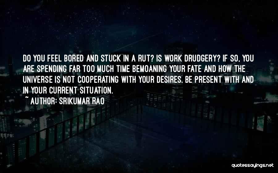 Stuck In A Rut Quotes By Srikumar Rao