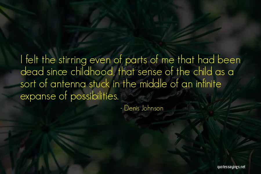 Stuck In The Middle Of Nowhere Quotes By Denis Johnson