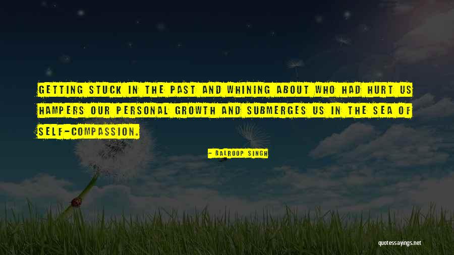 Stuck In The Past Quotes By Balroop Singh