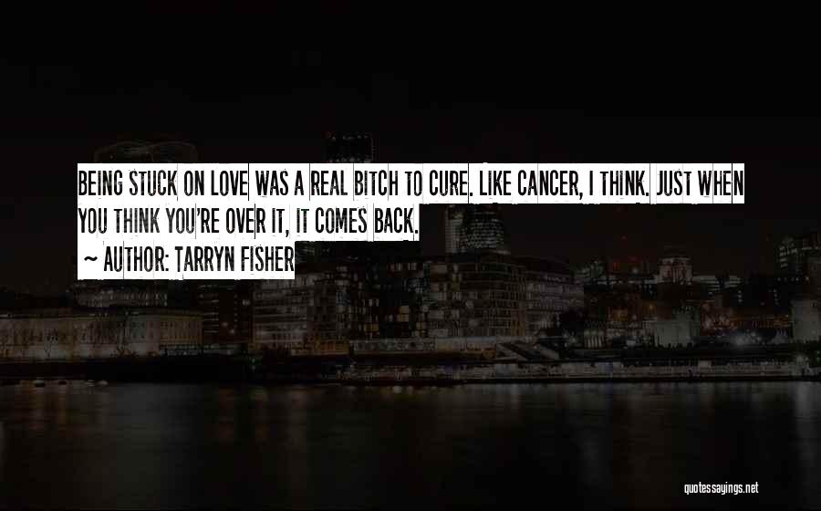 Stuck On You Love Quotes By Tarryn Fisher