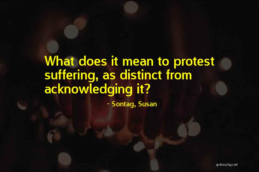 Stuckert Career Quotes By Sontag, Susan Stuckert Career Quotes By Sontag, Susan
