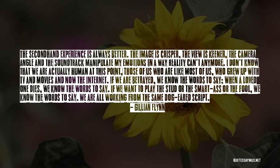 Stud Quotes By Gillian Flynn