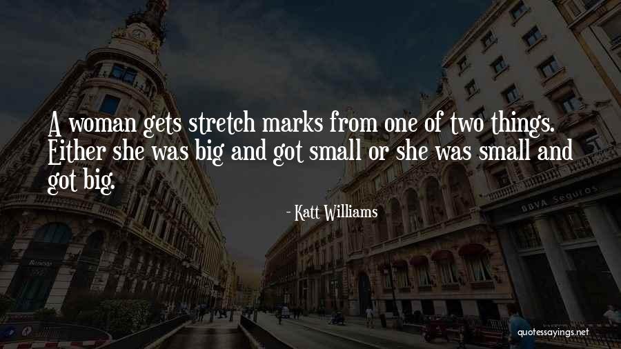 Studdiford Technical Solutions Quotes By Katt Williams Studdiford Technical Solutions Quotes By Katt Williams