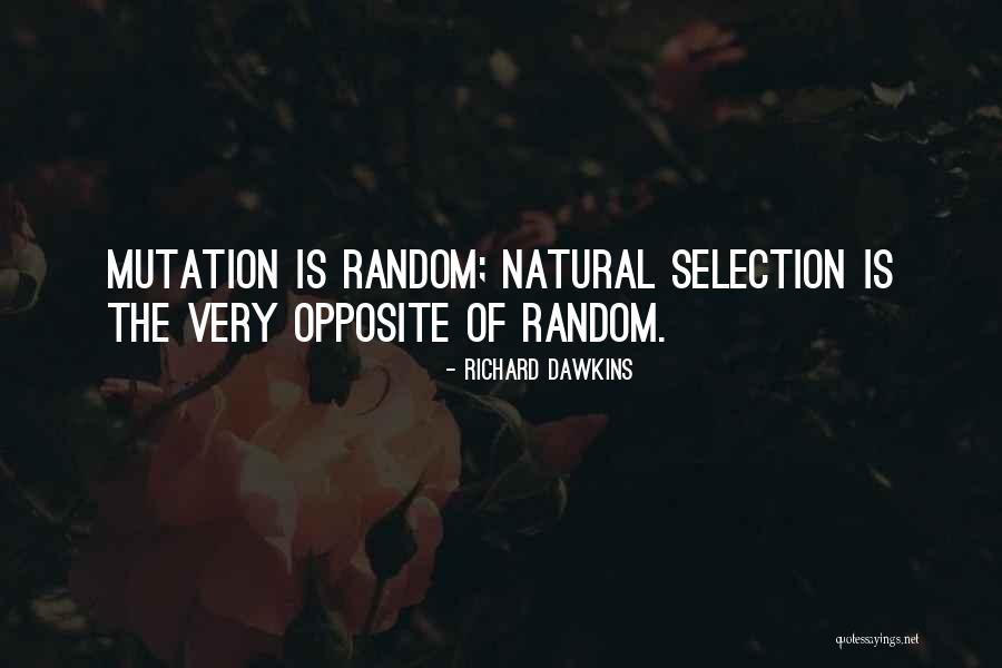 Studesville Nfl Quotes By Richard Dawkins Studesville Nfl Quotes By Richard Dawkins