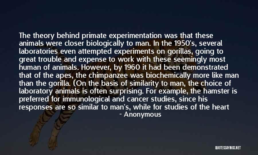 Studies And Work Quotes By Anonymous Studies And Work Quotes By Anonymous