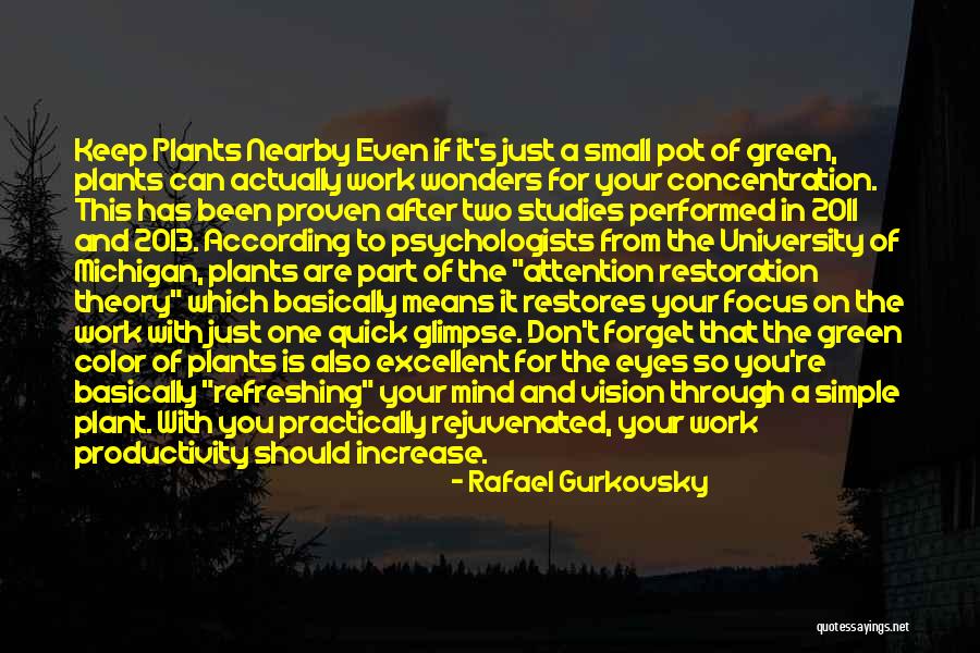 Studies And Work Quotes By Rafael Gurkovsky Studies And Work Quotes By Rafael Gurkovsky