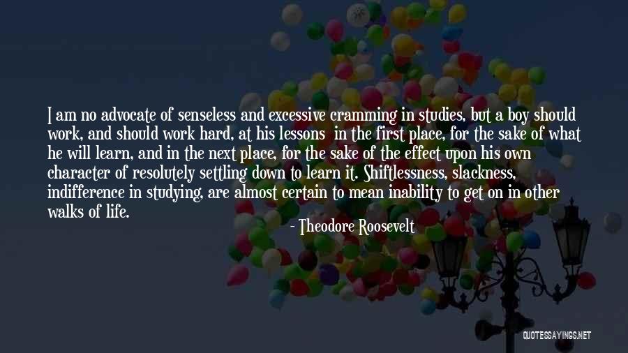 Studies And Work Quotes By Theodore Roosevelt Studies And Work Quotes By Theodore Roosevelt