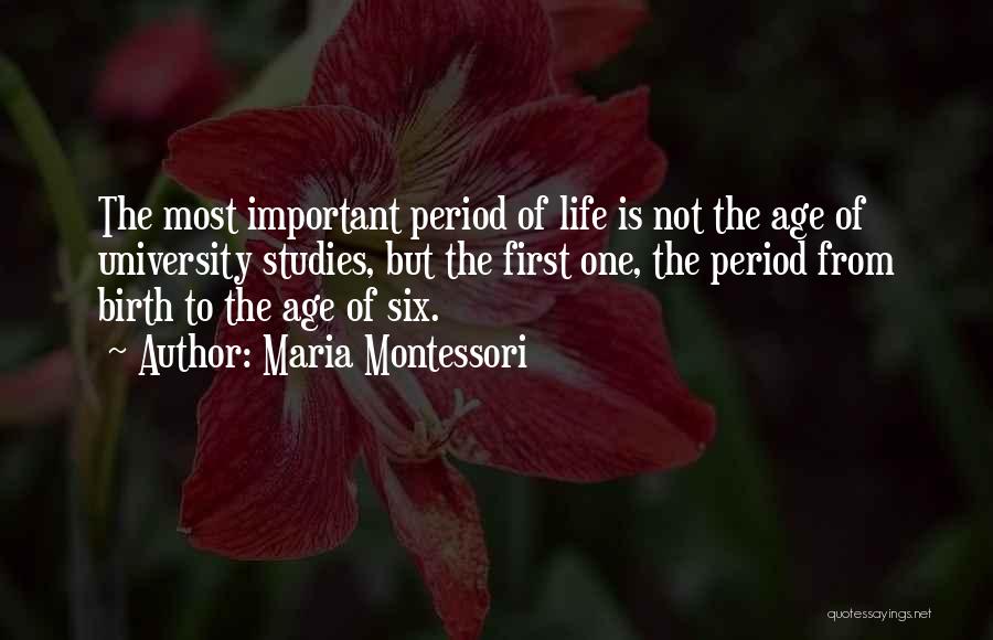 Studies First Quotes By Maria Montessori