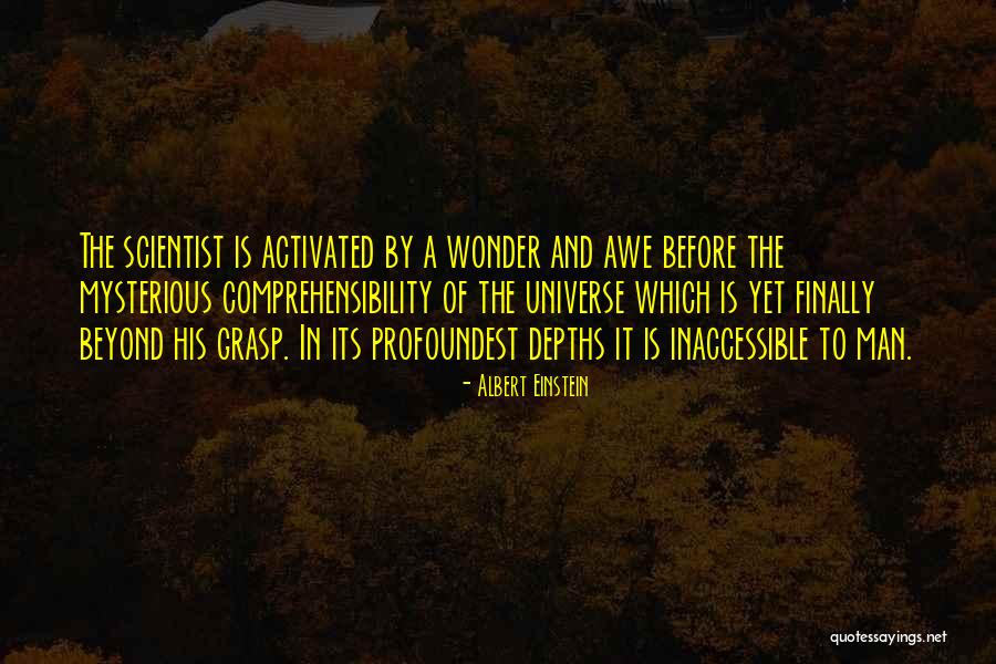 Studny Island Quotes By Albert Einstein Studny Island Quotes By Albert Einstein