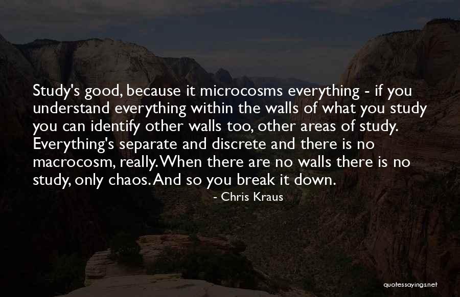 Study Break Quotes By Chris Kraus Study Break Quotes By Chris Kraus