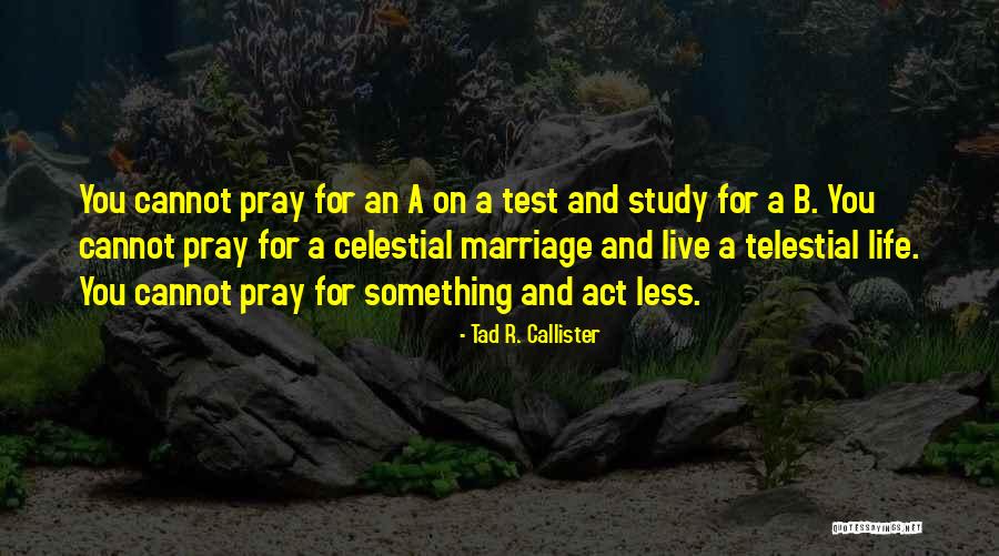 Study For Test Quotes By Tad R. Callister Study For Test Quotes By Tad R. Callister