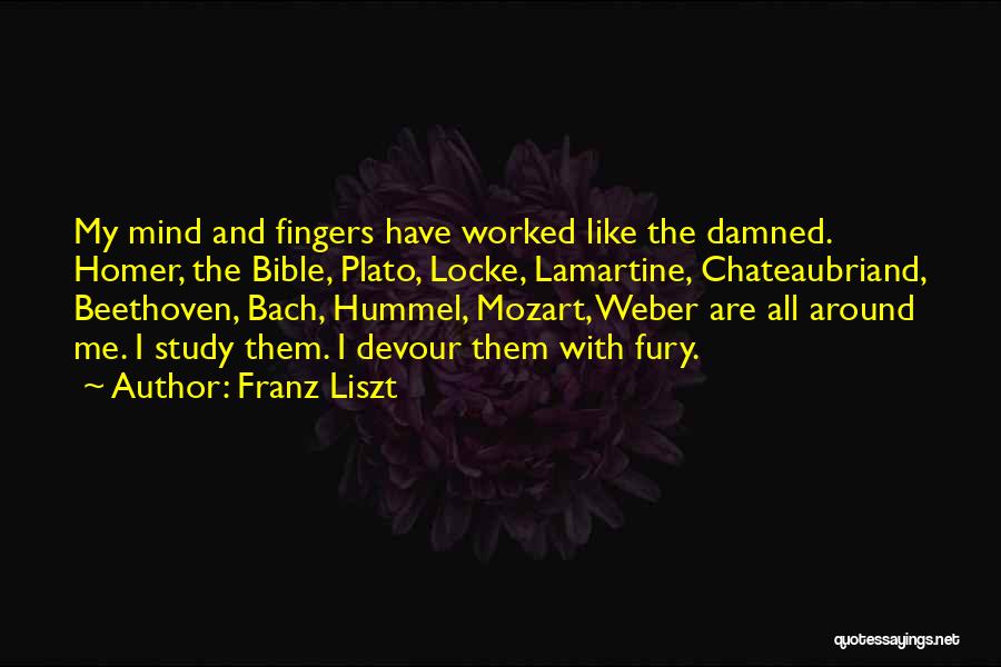 Study Quotes By Franz Liszt