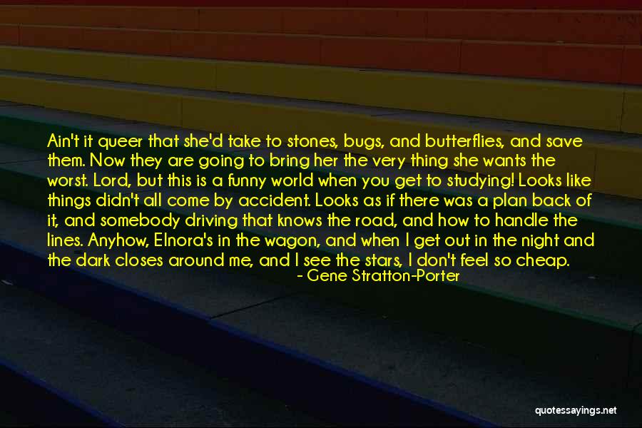 Studying All Night Quotes By Gene Stratton-Porter Studying All Night Quotes By Gene Stratton-Porter