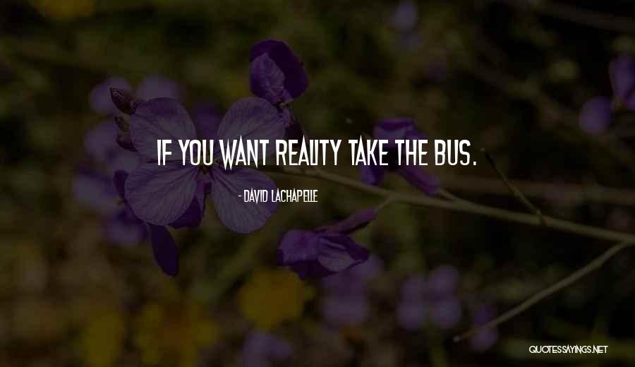 Studying Calculus Quotes By David LaChapelle Studying Calculus Quotes By David LaChapelle