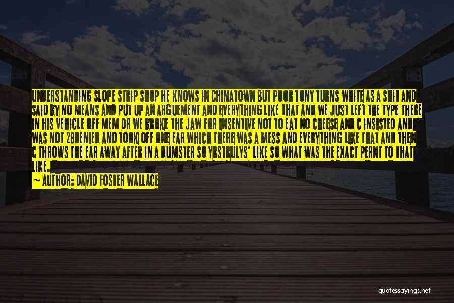 Studying Scriptures Quotes By David Foster Wallace