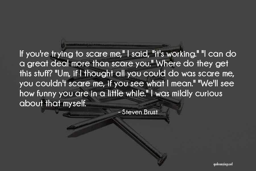 Stuff Not Working Out Quotes By Steven Brust