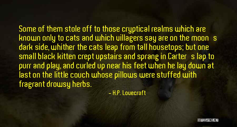 Stuffed Cats Quotes By H.P. Lovecraft Stuffed Cats Quotes By H.P. Lovecraft
