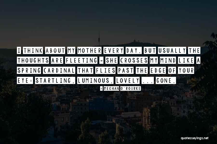 Stuffed Crust Quotes By Meghan O'Rourke Stuffed Crust Quotes By Meghan O'Rourke