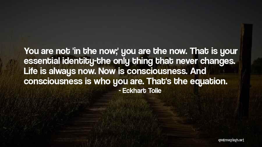 Stuffy Academics Quotes By Eckhart Tolle Stuffy Academics Quotes By Eckhart Tolle