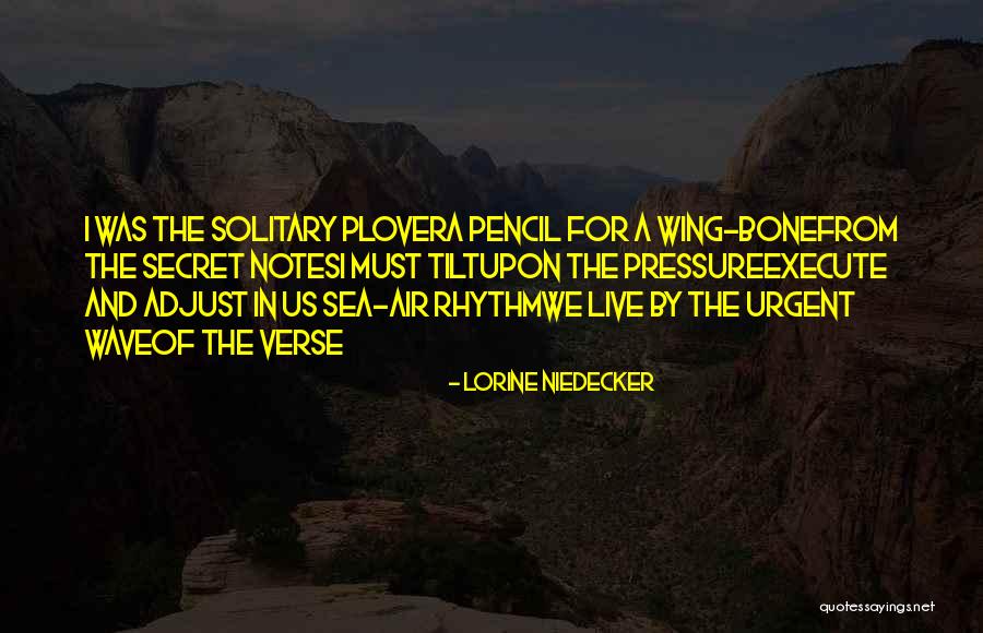 Stulberg Positioner Quotes By Lorine Niedecker Stulberg Positioner Quotes By Lorine Niedecker