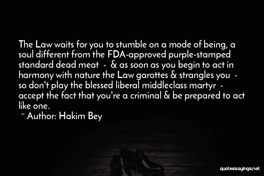 Stumble Quotes By Hakim Bey