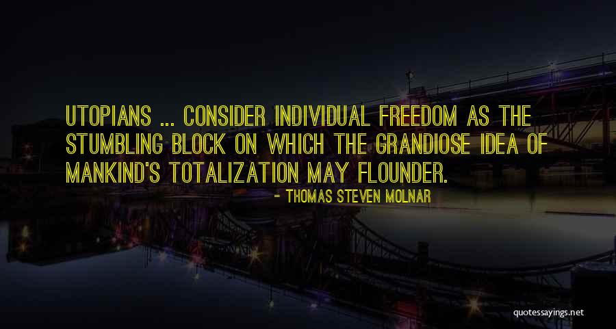Stumbling Block Quotes By Thomas Steven Molnar