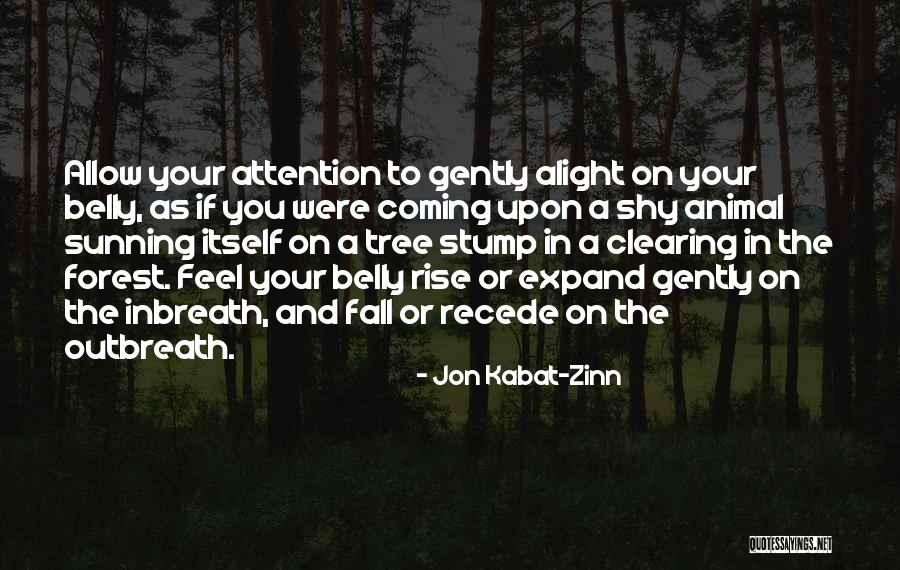 Stump Quotes By Jon Kabat-Zinn Stump Quotes By Jon Kabat-Zinn