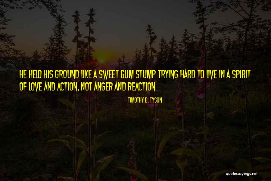 Stump Quotes By Timothy B. Tyson Stump Quotes By Timothy B. Tyson