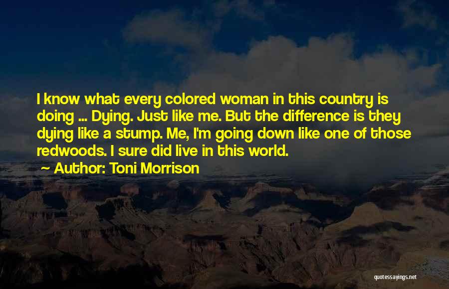Stump Quotes By Toni Morrison