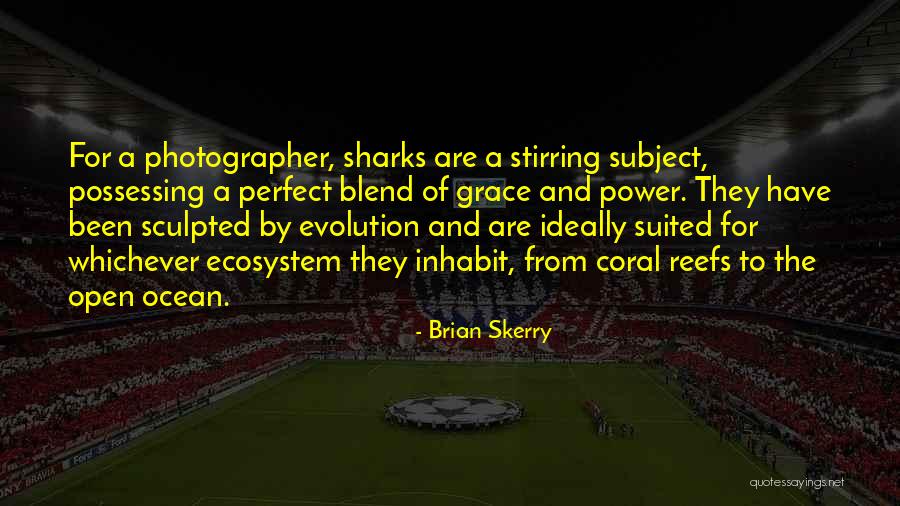 Stumvoll Obituary Quotes By Brian Skerry Stumvoll Obituary Quotes By Brian Skerry