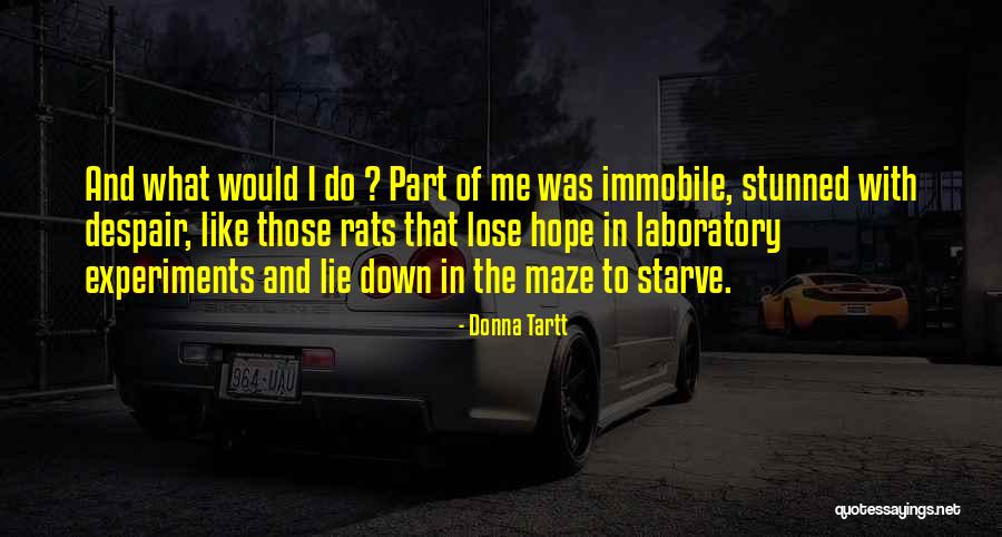 Stunned In A Way Quotes By Donna Tartt Stunned In A Way Quotes By Donna Tartt