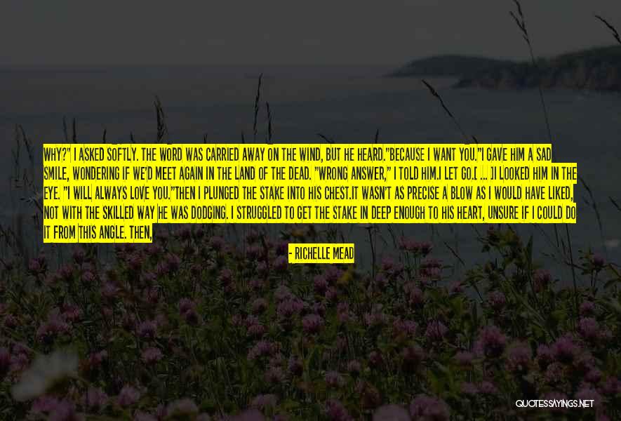 Stunned In A Way Quotes By Richelle Mead Stunned In A Way Quotes By Richelle Mead