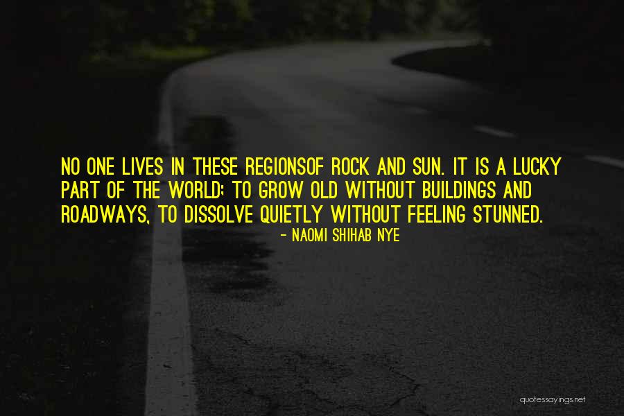 Stunned Quotes By Naomi Shihab Nye Stunned Quotes By Naomi Shihab Nye
