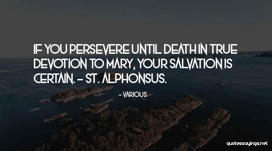 Stunner Boutique Quotes By Various Stunner Boutique Quotes By Various