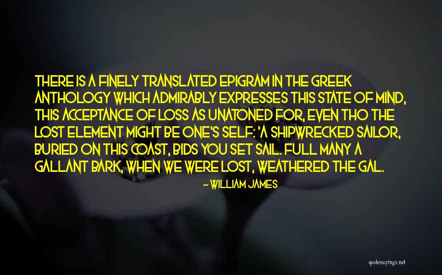 Stuntdouble Quotes By William James Stuntdouble Quotes By William James