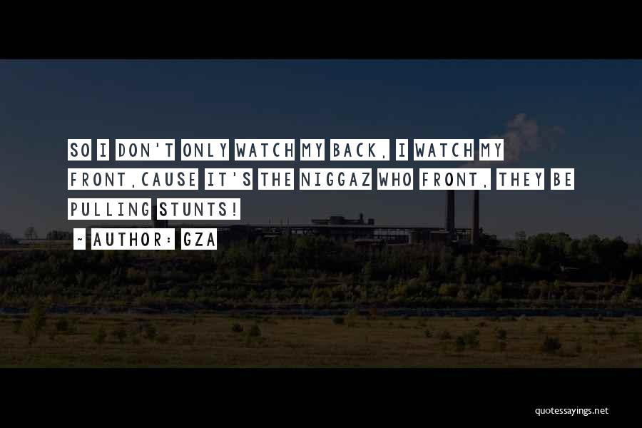 Stunts Quotes By GZA