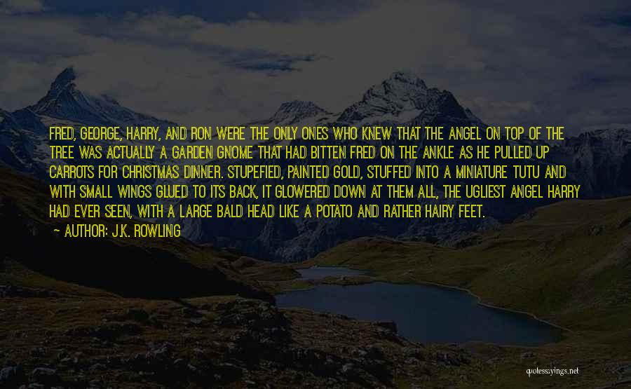 Stupefied Quotes By J.K. Rowling