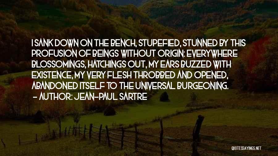 Stupefied Quotes By Jean-Paul Sartre